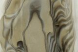 Polished Striped Flint Stand Up - Poland #334955-1